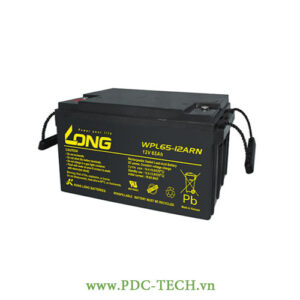 AC QUY LONG 12V-65AH, WP65-12N